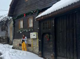 Casa veche &ldquo;Old house&rdquo;