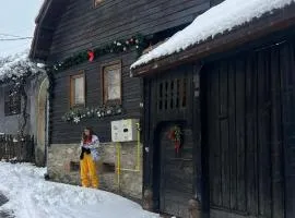 Casa veche “Old house”