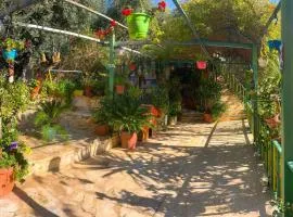 بيت الطبيعة nature house