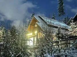 Chalet Shepit Karpat