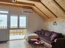 Charming and cozy apartment in the mountains