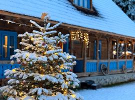 La Patru Daci，位于舒加塔格盐矿镇的酒店