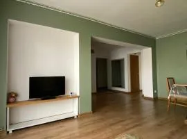 Apartament ultracentral Botis