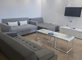 Luxueux Appartement pieds dans l'eau