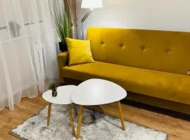 Apartament Toruń Orbita free parking