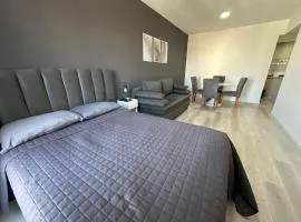 MOVISTAR ARENA PREMIUM THAMES 56 7 piso 713 Coch Opc Segur a metros del Movistar Arena