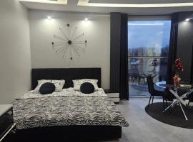 Anpol 3 Idealny w podróży służbowej, hotel v destinaci Inowrocław