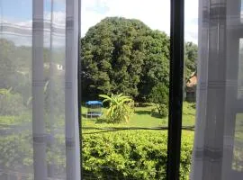 Apartamento moderno céntrico Palmira