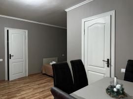 ZWIN Apartment 2, Hotel in Skole