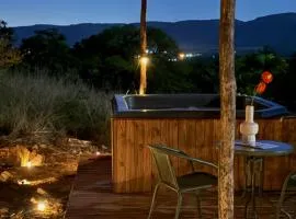 Seid Manor Wellness and Healing Retreat