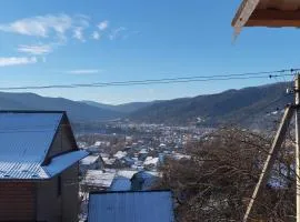 Микуличин на долоні 2