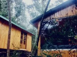 Bosque Venado de Oro