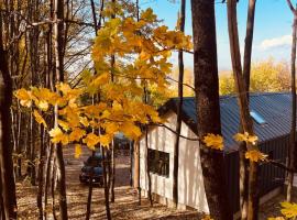 Forester Cabin, Hotel in Telega
