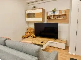 Central Stone Stylish Apartment