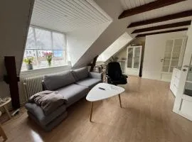 Centrally located in the heart of Silkeborg with lovely view