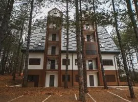 Apartman Gorska Vila - Divcibare