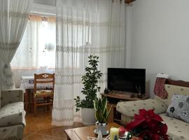Apartament, hotel em Leskovik