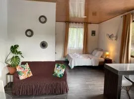 Tropical Coast Studio
