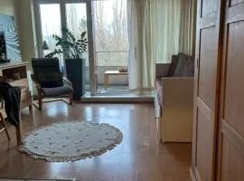 Modern Studio with Terrace Woluwe-Saint-Lambert