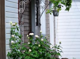 Cottages On Gdantsevskaya Street, semesterboende i Kryvyj Rih