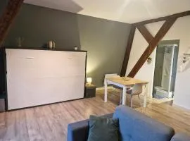 Au coeur des remparts, residence du château*