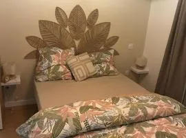 romantic Victorian guest appartment