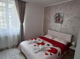 Apartament Ultra Central Marly Gura Humorului