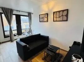 cozy apartment in Brussels