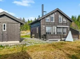 Magiske Vinterdage I Sjusjøen