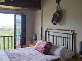 Complejo Rural Las Mimosas del Nalon, tradicionalna kućica u gradu 'La Arena'