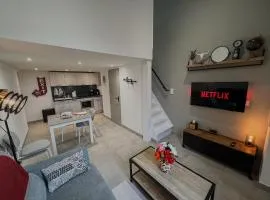 Factory duplex Aigues-Mortes moderne & chaleureux