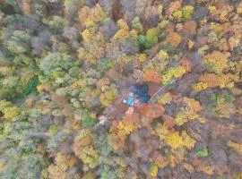 Forest Home 01 by GREEN Croatia