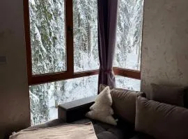 Dream Apart - Iceberg