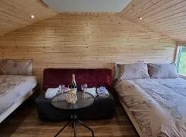 Cosy Cabin - Near Belfast International Airport
