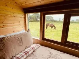 Cosy Cabin - Near Belfast International Airport