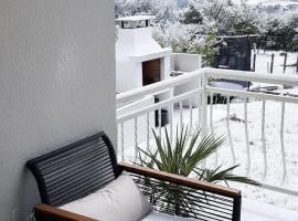 Villa Conceptt casa, hotel i Jasenak