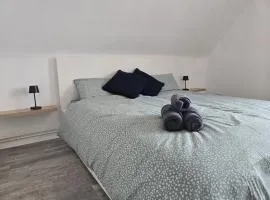 Vom Hohnsen in die Innenstadt City meets nature