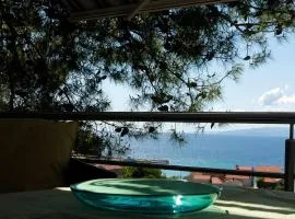Dalmatia Paradise Apartments