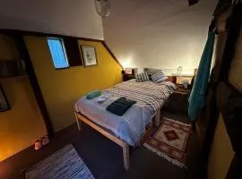 Sleeps 1- Retro- WiFi- Parking- Fireplace- Bbq