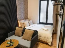 5BR Apartment in the Heart of Ghent for Groups