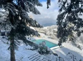 Un petit coin de Paradis