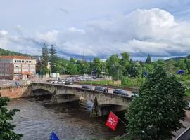 Epinal Center Charming Two Bedroom Apartment