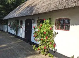 Gemütliches Reetdachhaus mit Kaminofen