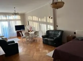 Central City Stylish Apartment - free parking