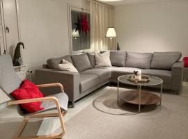 Nietos Aurora，位于Ylitornio的酒店