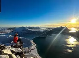 Comfortable apartment in the middle of Lofoten