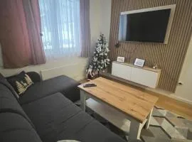 Ski-in Apartment Jahorina
