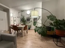 Como's Hill Apartments