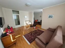 Apartment Borac - Free Parking - Free WiFi