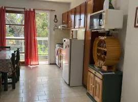 Alquiler temporario San Juan 3169 SB